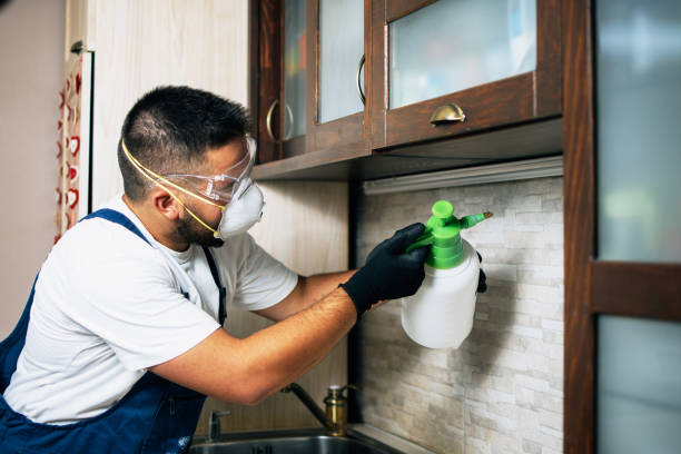 Best Pest Inspection Near Me  in Riverview, FL