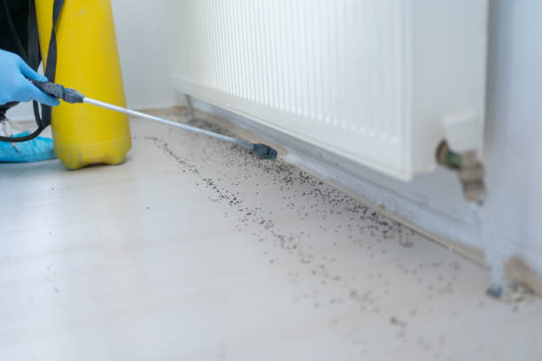 Best Pest Prevention Services  in Riverview, FL